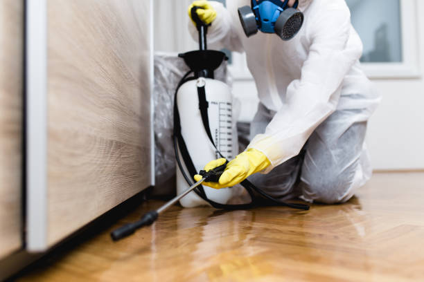 Best Commercial Pest Control Services  in Silt, CO