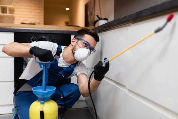 Best Mosquito Control Services  in Silt, CO