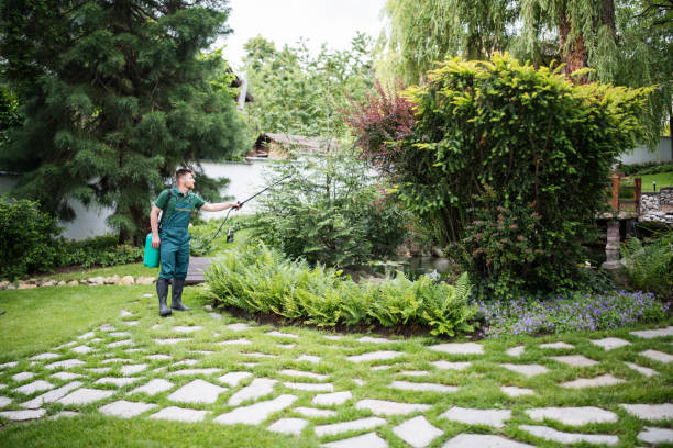 Best Pest Removal Services  in Silt, CO