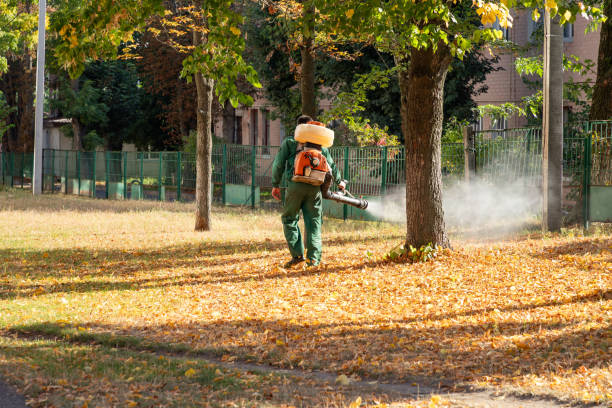 Best Local Pest Control Services  in Silt, CO