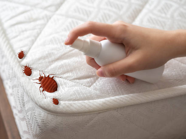 Pest Prevention Services in Silt, CO