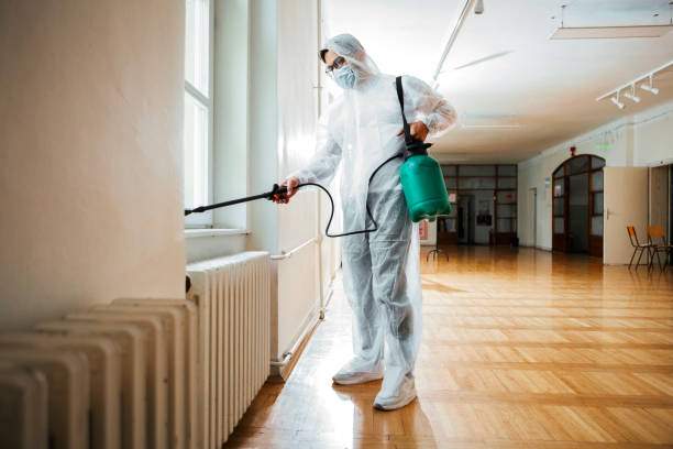 Best Affordable Pest Control Services  in Silt, CO